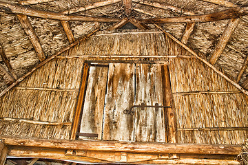 Image showing Marsh Plants Huts 