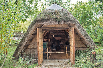 Image showing Marsh Plants Huts 