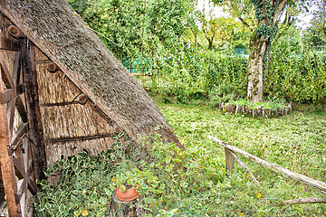 Image showing Marsh Plants Huts 