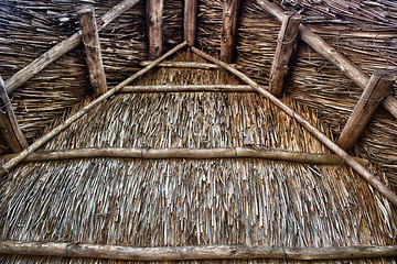 Image showing Marsh Plants Huts 