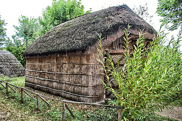 Image showing Marsh Plants Huts 