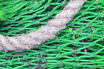 Image showing Abstract background with a pile of fishing nets