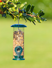 Image showing Bird feeder full of seeds