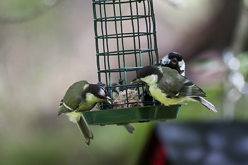 Image showing family feast