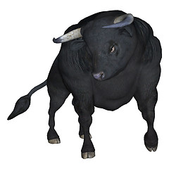 Image showing Bull