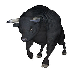 Image showing Bull