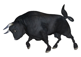 Image showing Bull