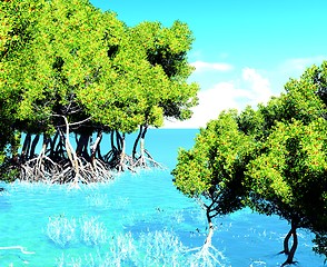 Image showing Red mangroves 