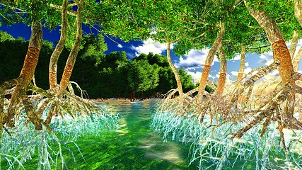 Image showing Red mangroves 