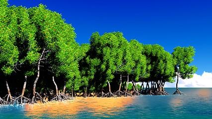 Image showing Red mangroves 