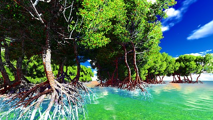 Image showing Red mangroves 