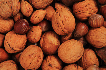 Image showing different nuts background