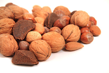 Image showing different nuts and almonds 