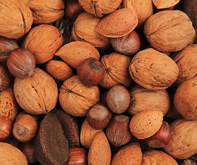 Image showing different nuts and almonds 