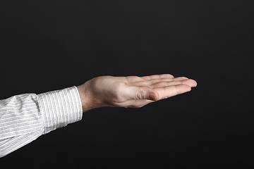 Image showing Caucasian male hands hold something