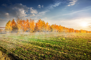 Image showing Autumn forest and field