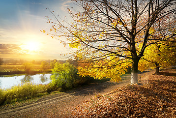 Image showing Road by the river