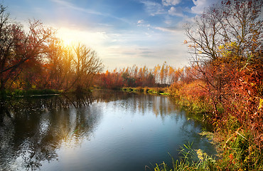 Image showing Autumn season on the river