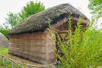 Image showing Marsh Plants Huts 