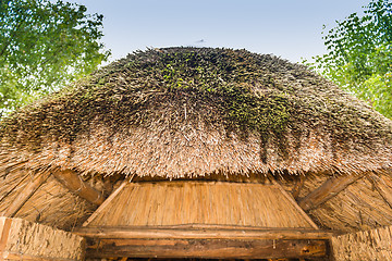 Image showing Marsh Plants Huts 