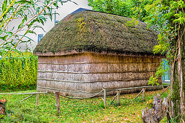 Image showing Marsh Plants Huts 