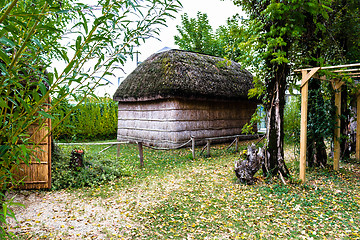 Image showing Marsh Plants Huts 