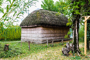 Image showing Marsh Plants Huts 