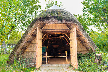 Image showing Marsh Plants Huts 