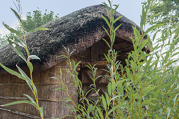 Image showing Marsh Plants Huts 