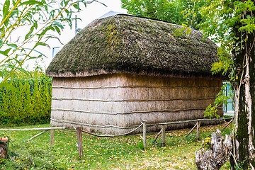 Image showing Marsh Plants Huts 