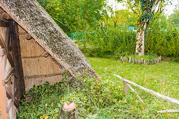 Image showing Marsh Plants Huts 