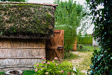 Image showing Marsh Plants Huts 