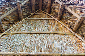 Image showing Marsh Plants Huts 