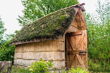 Image showing Marsh Plants Huts 