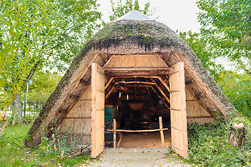 Image showing Marsh Plants Huts 