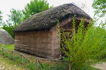 Image showing Marsh Plants Huts 