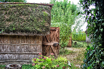 Image showing Marsh Plants Huts 