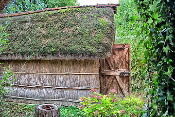 Image showing Marsh Plants Huts 