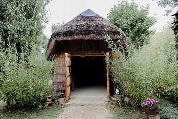 Image showing Marsh Plants Huts 