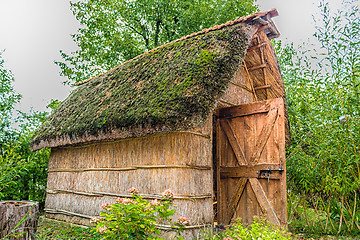 Image showing Marsh Plants Huts 