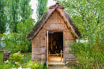 Image showing Marsh Plants Huts 