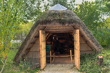 Image showing Marsh Plants Huts 