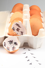 Image showing empty egg shells 