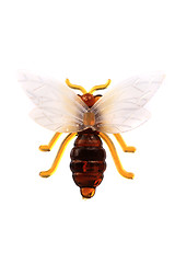 Image showing small plastic bee