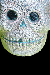 Image showing skull on black