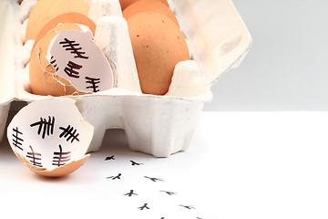 Image showing empty egg shells 