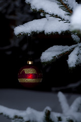 Image showing christmas tree decoration