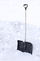 Image showing black snowshowel with wooden handle in snow pile