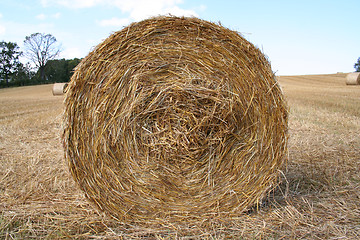 Image showing Harvest