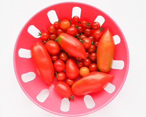 Image showing Tomato vegetable